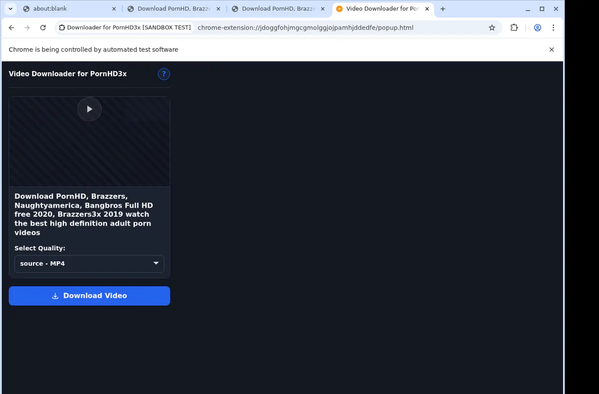 Pornhd 3 X Video Downloader browser extension screenshot 4